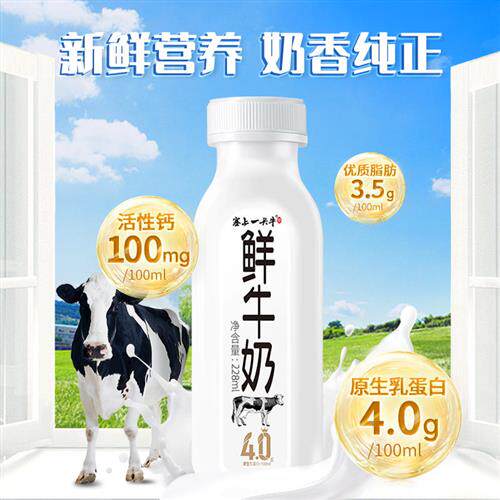 塞上一头牛 4.0鲜牛奶巴氏杀菌228ml*8瓶全脂营养早餐奶低温鲜奶