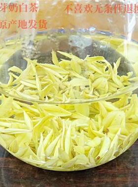 AAA2025年新茶精品明前茶黄金芽奶白茶50克安吉特产白茶原产地发