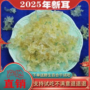 四川天然椴木银耳碎耳无根孕妇雪耳非古田通江白木耳无硫干货