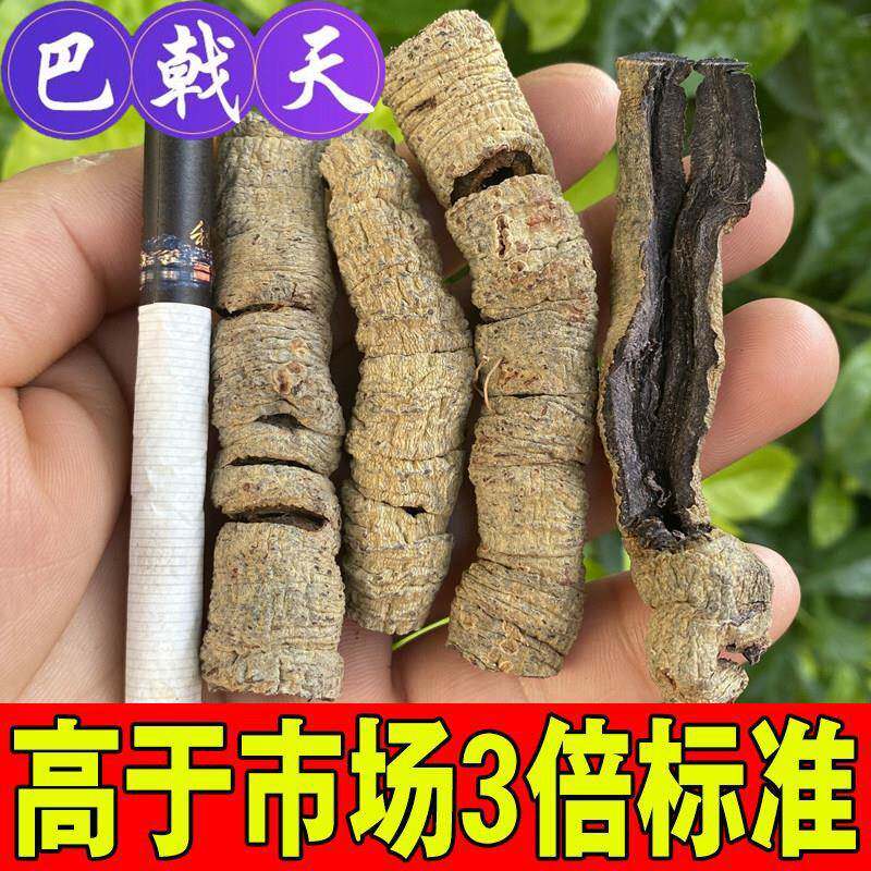 野生老大号紫肉巴戟鸡肠风抽芯巴戟肉巴戟天干货男性滋补中药材