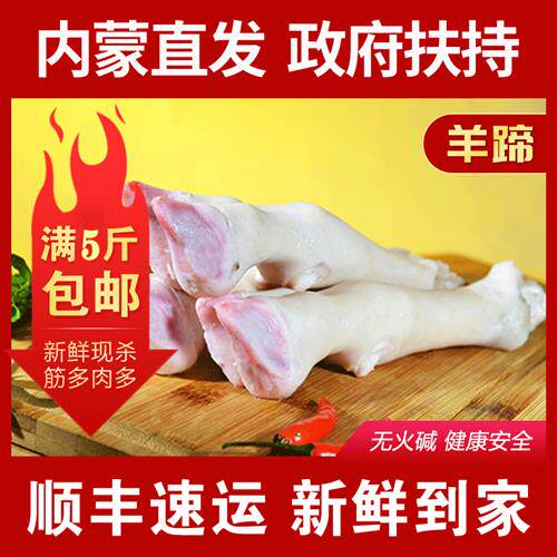 内蒙古羊肉羊蹄新鲜食材清真羊蹄炖羊肉烤羊蹄内蒙直发品质保证