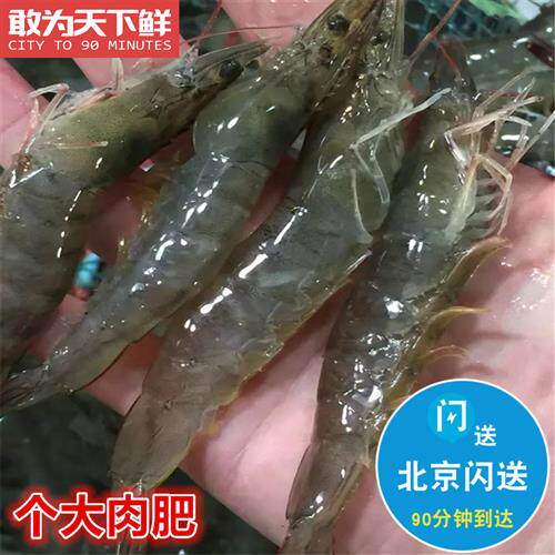 500g 北京闪送 鲜活 海白虾 海鲜 水产 明虾 对虾 非基围虾