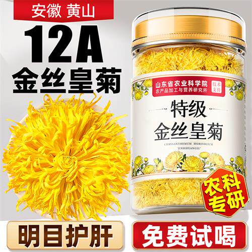 金丝皇菊特级大菊花一朵一杯菊花茶正品官方经营店去火清热解排毒