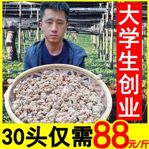 小范云南文山三七特级20头30头40头野生田七片中药材37粉正品500g