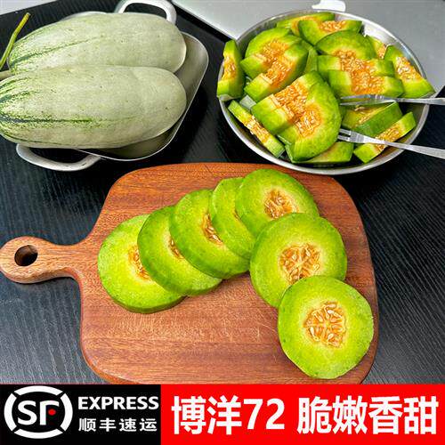 山东头茬博洋72号甜瓜新鲜水果当季整箱蜜瓜羊角蜜脆瓜香瓜现摘