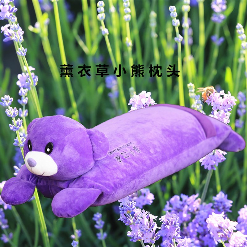 薰衣草枕,薰衣草熊枕花草枕头薰衣草+荞麦各50%