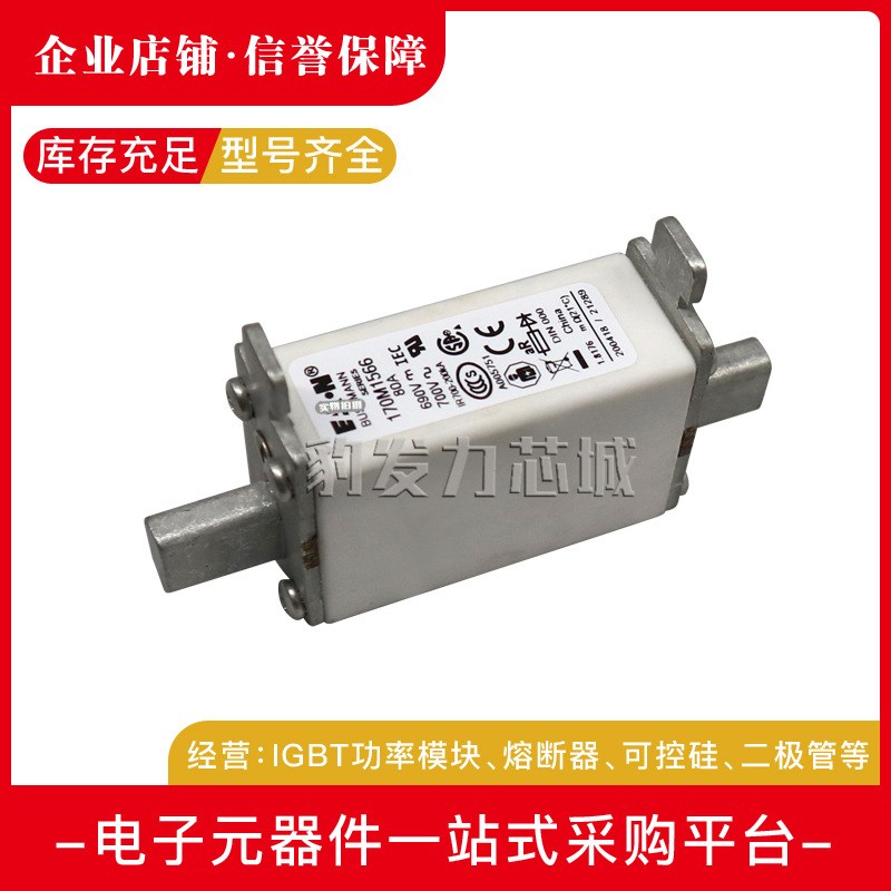 170M1558 1559 1560 1561 15621563 1564 1565 1566熔断器
