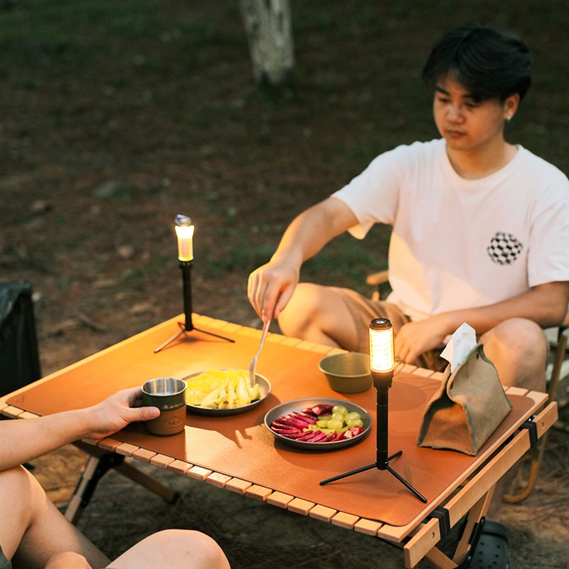 户外多功能铝合金灯架桌面支架地插灯架 直播三角架可拆卸三脚架