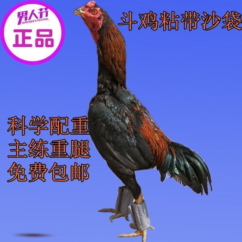 现货喔几斗鸡沙袋斗鸡练腿沙袋护具斗鸡训练用具斗鸡Y用品免运费