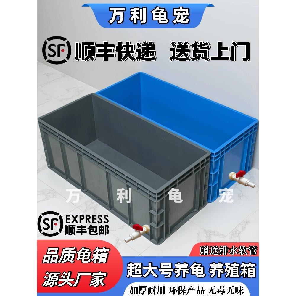 大型乌龟箱周转箱塑料乌龟池水槽长方形饲养缸家用养殖乌龟专用箱