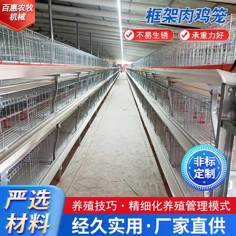 框架肉鸡笼框架式l养鸡设备肉鸡笼养殖场鸡舍养鸡笼热镀锌立式