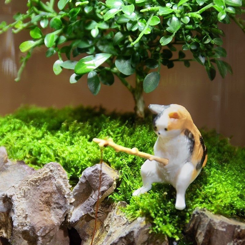 苔藓微景观鱼缸养鱼办公室内桌面鲜活G绿植生态缸摆件成品盆景礼