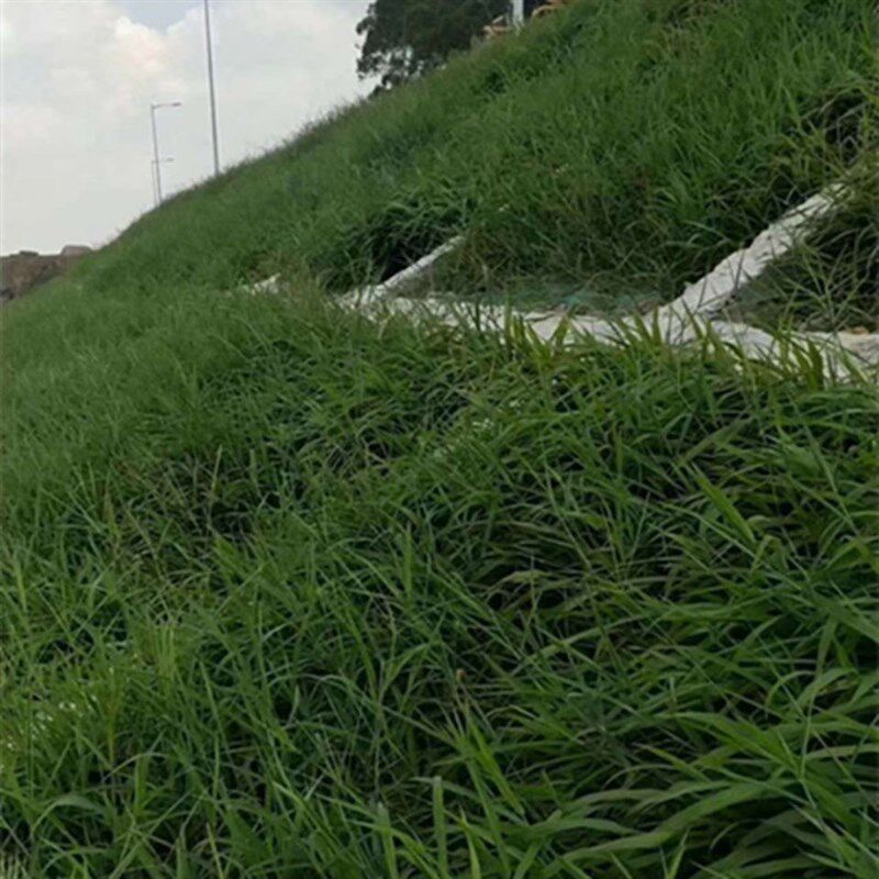 生态袋护坡 河道防洪袋 t绿化无纺布袋 土工布袋 量大优惠 可定制
