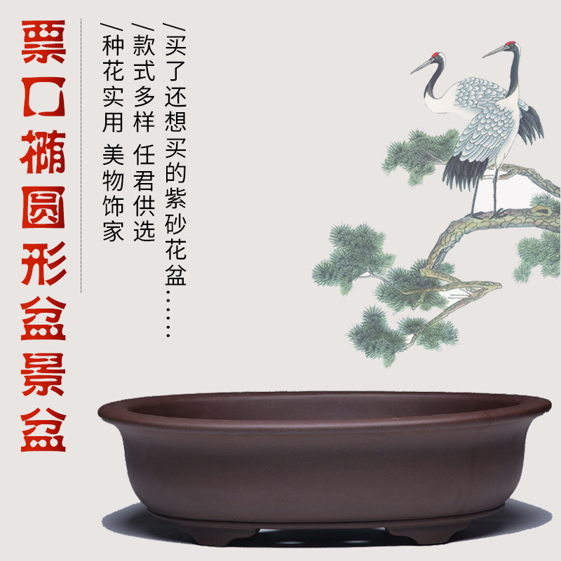 宜兴紫砂花盆陶瓷椭圆大号客厅中国风紫砂盆景盆多肉套盆清仓包邮