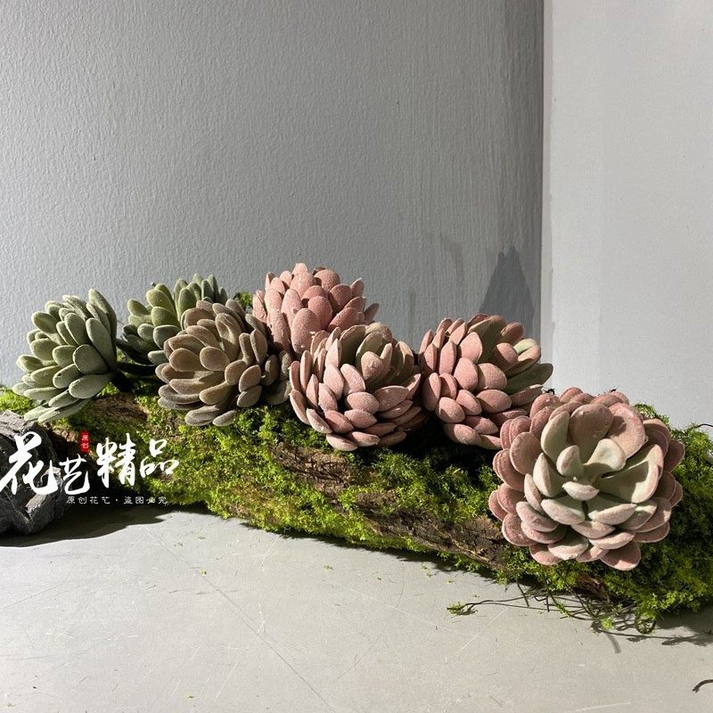 假花毛茸多肉植物造景软装设计装置软胶插花苔藓青苔树桩木桩树皮