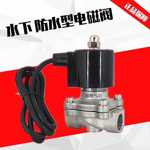 4分不锈钢防水电磁阀 水下喷泉专用开关阀DN15耐腐蚀气阀220V 24V