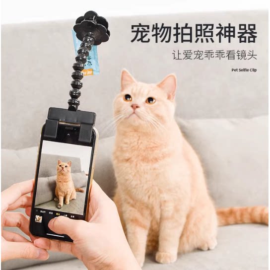 宠物自拍杆拍照神器猫咪狗狗看镜头自拍器吸引注意力夹零食手机架