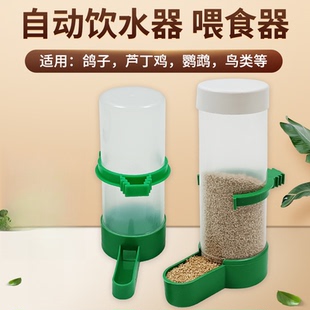 鹦鹉饮水器小鸟喝水器鸽子食槽芦丁鸡食盒喂食鸟专用自动喂食器