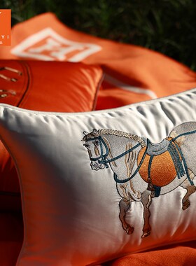 腰枕橙色现代简约风客厅沙发长方y形30x50靠枕床头靠垫抱枕套小号