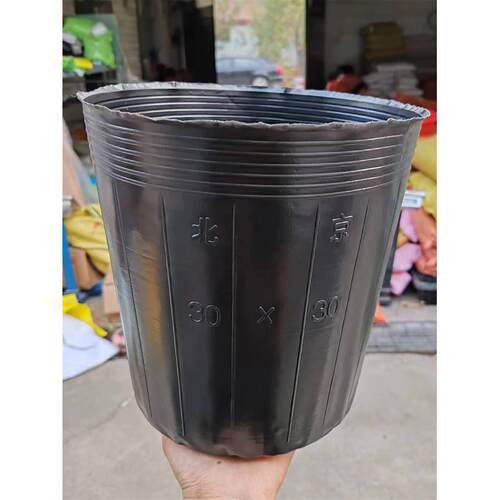 加厚营养钵树苗营养杯育苗杯加托一次性花盆黑色软塑料育苗盆加塞