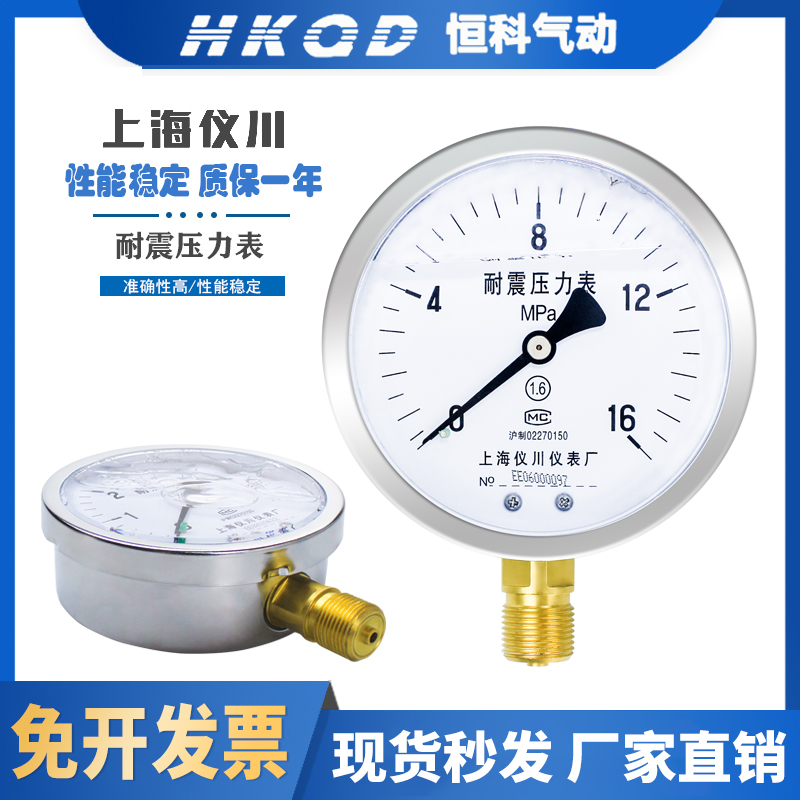 仪川仪表 耐震压力表mY60/Y100 充油表 气压油压水压0~60MPa