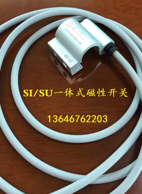宁波厂家高端气缸SU SI磁性开关SK51 52 53 54替代于CS1-B1 B2 B3