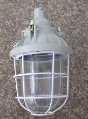 BAD-200防爆灯 L150JN110HZ b1/b2 XDFGh1 M吊杆式/护栏式防爆灯
