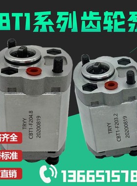 TRYY齿轮油泵 CBT1-F202.3 CBT1-F203.2 CBT1-F204.8 CBT1-F207.8