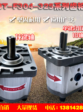 齿轮泵 液压油泵CBT-F310 CBT-F306 CBT-F320 CBT-F314 CBT-F316