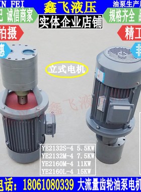 CB/TXCB/LWBZ-B160JZ/160大流量齿轮油泵电机组装置斜齿LBZ TXLB