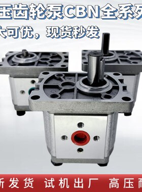 CBN-F316齿轮泵CBN-F314/CBN-F306/CCBN-F310/CBN-F320/CBN-304/C