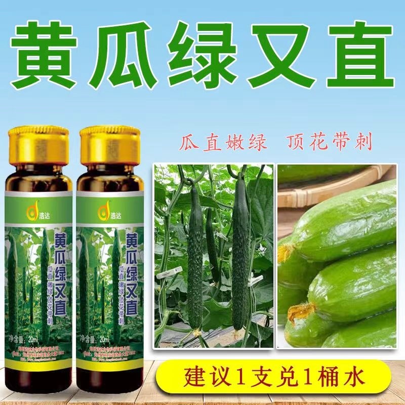 黄瓜拉长拉直素增瓜顶花带刺绿长直顺直药黄X瓜专用叶面肥