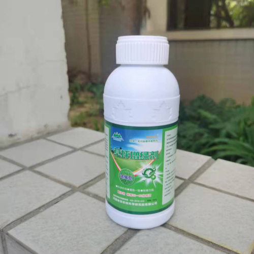 草坪增绿剂绿h化草皮植物染色着色剂一喷绿不伤草工程绿化验收