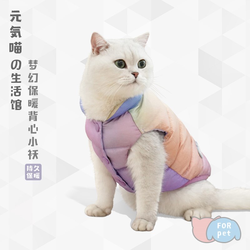 元気喵丨zeze猫衣服德文冬季服装保暖宠物无毛猫衣服棉袄猫咪用品