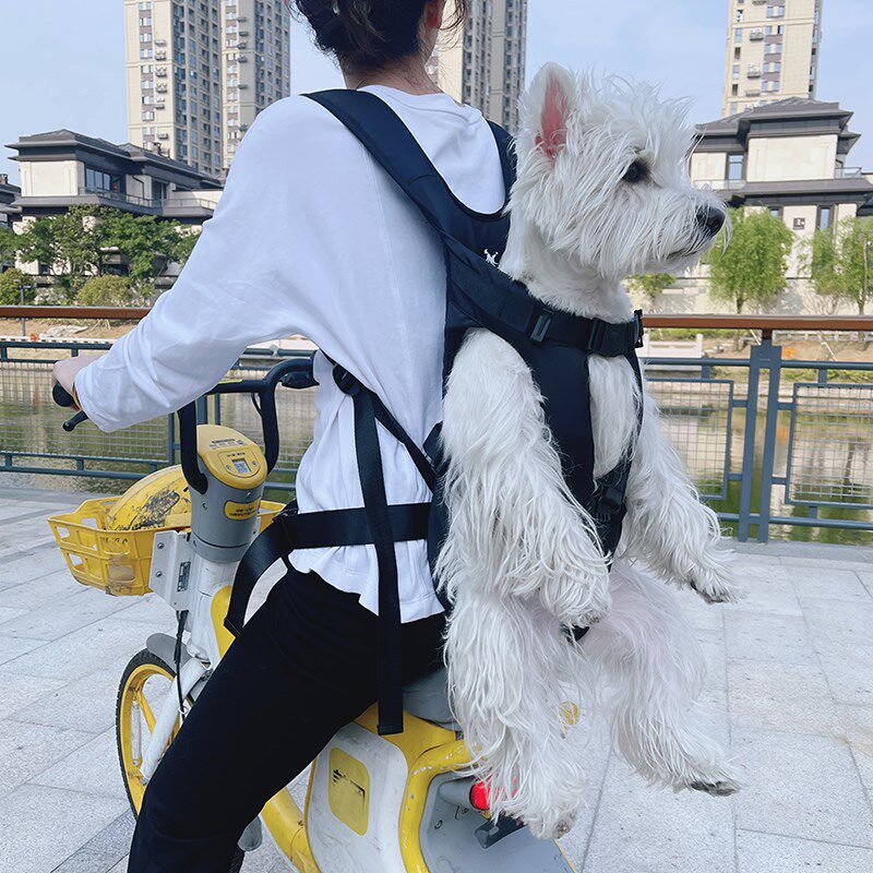 狗狗外出包宠物便携双肩背包抱自行车带狗狗神器坐电动车小型犬猫