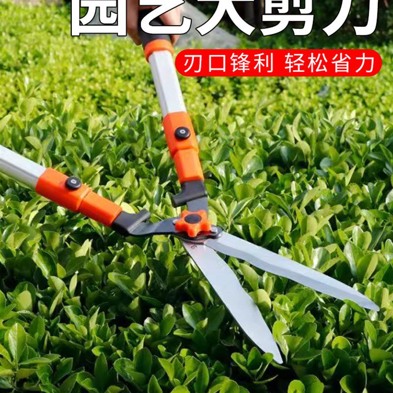 园艺大剪刀果树枝花园草坪修枝剪非德国日本进口园林绿化工具绿篱