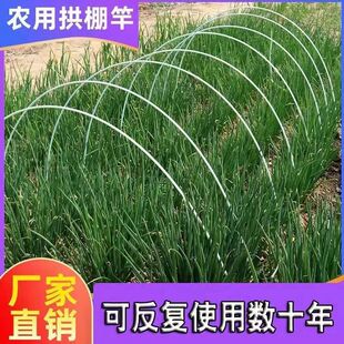 拱棚支架a农用小竿蔬菜保温菜棚杆遮阳防虫网架子玻璃纤维弹力棒