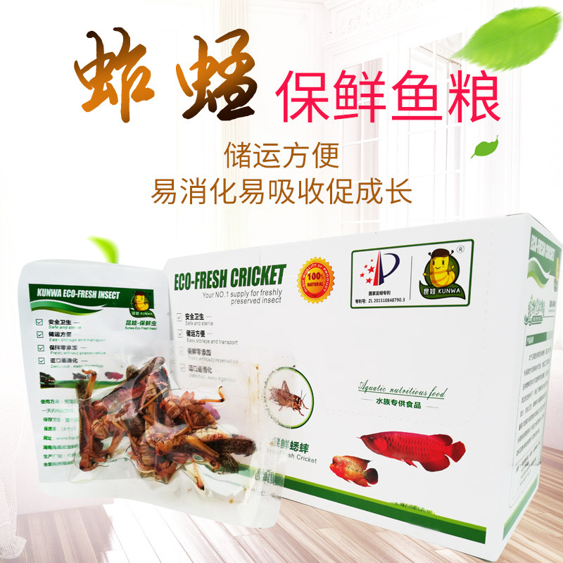 龙鱼饲料活体保鲜蜈蚣大麦虫蚱蜢蟑螂蟋蟀龙鱼发色食物昆虫料鱼粮