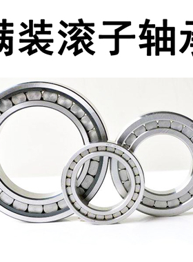 正品天马满滚子轴承NF NCF NCL 204 205 206 207 208 209 EV -2RS