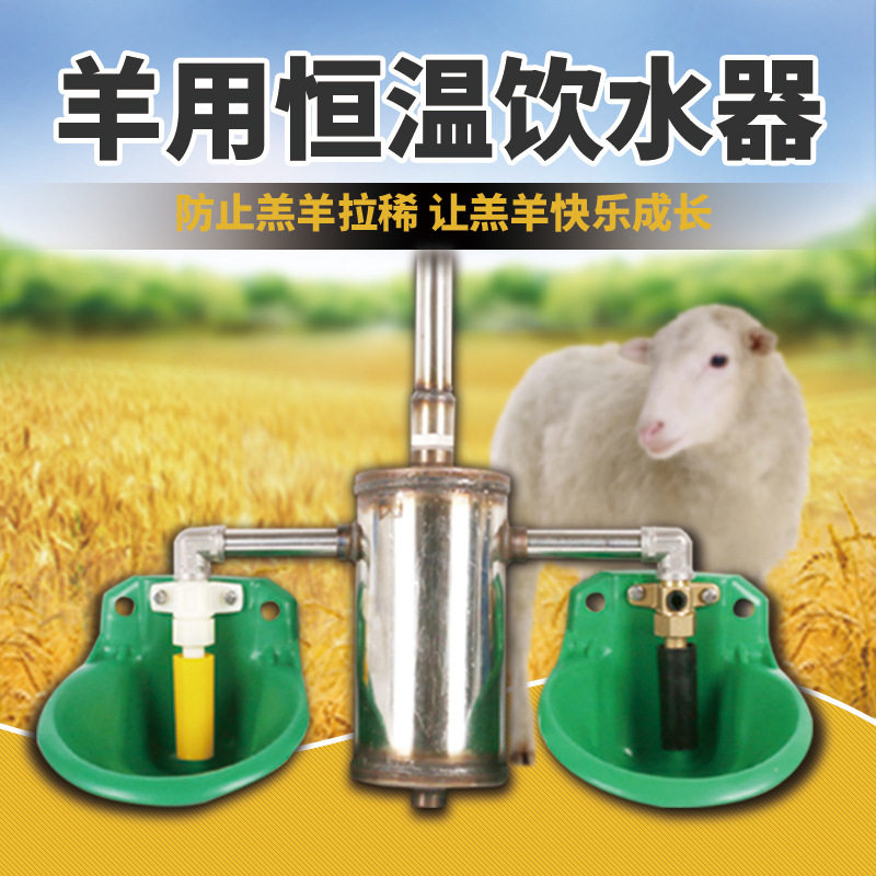 羊用饮水碗恒温加热器不