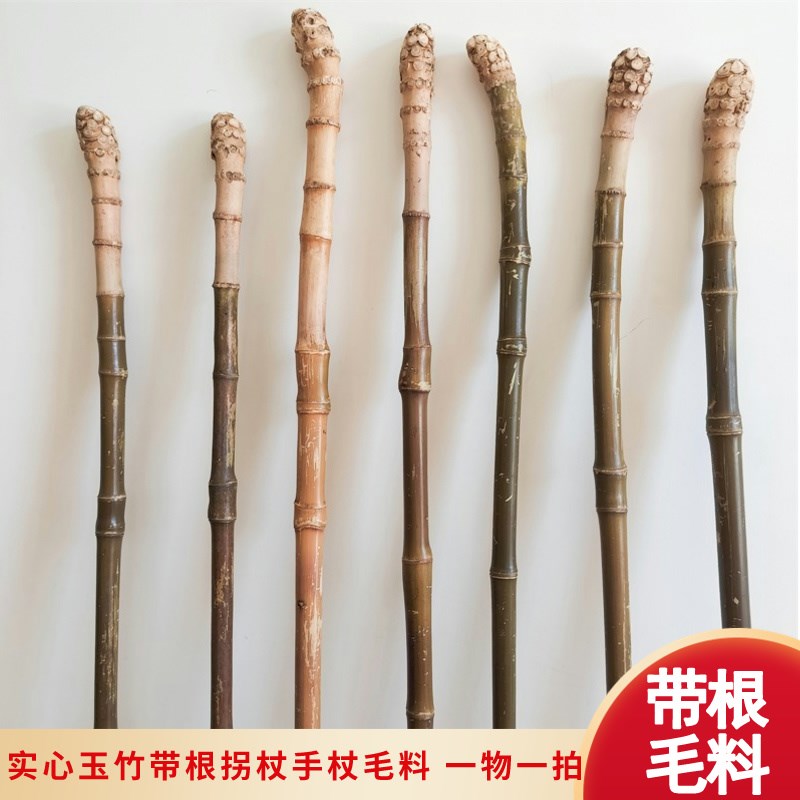 文玩玉竹带根拐杖手杖料文玩竹子玉竹带根钉拐杖手杖手持玉竹毛料