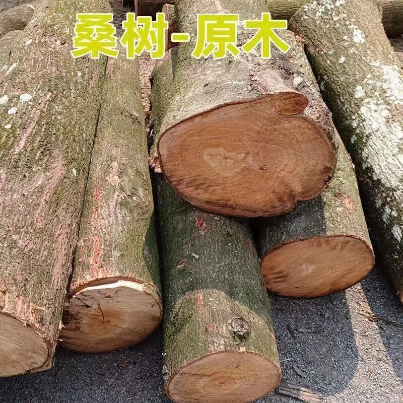 扁担挑水用木实木道具老桑木的小扁担硬木农用家用儿童扁担挑水用