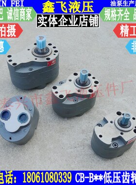 齿轮泵油泵CB-B80TH CB-B100TH润滑泵CB-B125TH液压油泵FTH
