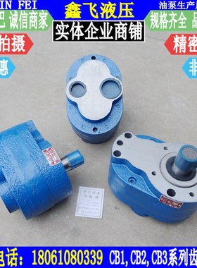 M7130平面磨齿轮泵CB2-B80斜齿轮泵CB2-B100 CB2-B125齿轮油泵DC