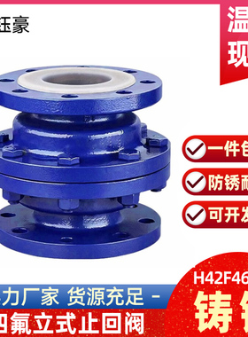 铸钢衬四氟立式止回阀H42F46-16C耐酸碱衬氟逆止单向阀门DN50 100
