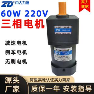 ZD力德交流减速电机15轴调速电机无刷直流电动机小型电动机