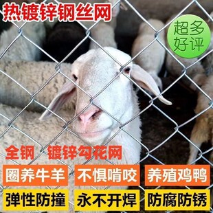 热镀锌铁丝网围栏护栏网养鸡养狗勾花网养殖牛羊钢丝网户外防护网