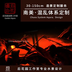 后花园水族南美混乱造景 南美景 原生缸 原生缸定U制 鱼缸沉木造