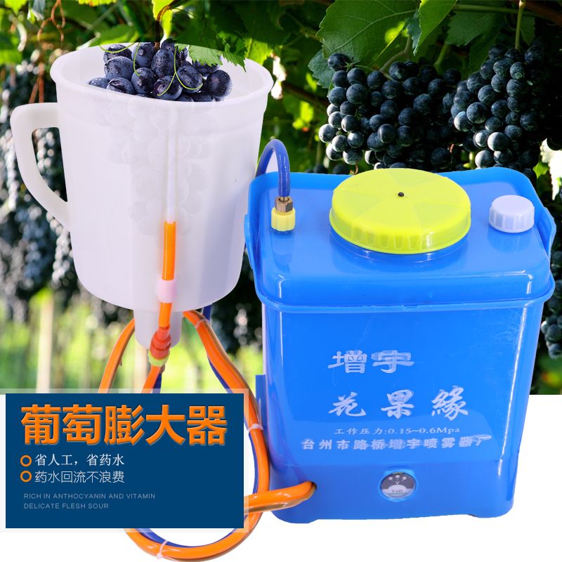 葡萄阳光玫瑰膨果器葡萄膨大器浸果拉花神器R浸果神器膨大神器
