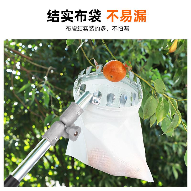 不高摘果器杨梅李子空柿子高采摘水果HCG工具空多功能锈钢摘果子